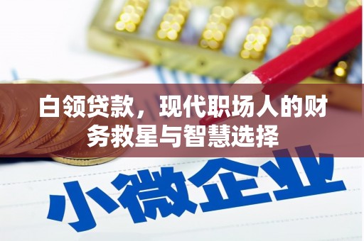 克孜勒苏柯尔克孜白领贷款，现代职场人的财务救星与智慧选择