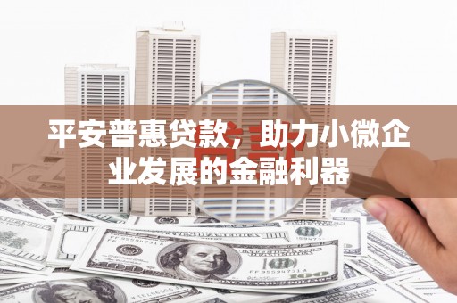 克孜勒苏柯尔克孜平安普惠贷款，助力小微企业发展的金融利器