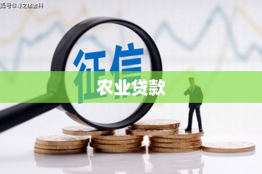 克孜勒苏柯尔克孜农业贷款