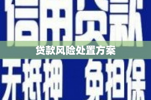 克孜勒苏柯尔克孜贷款风险处置方案
