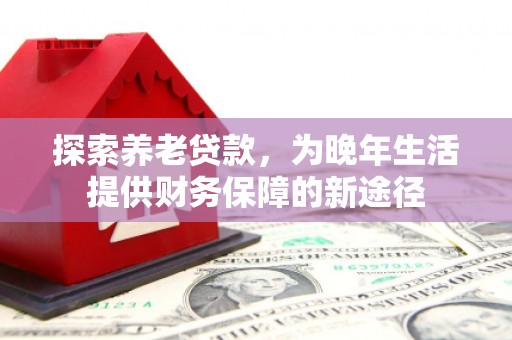 克孜勒苏柯尔克孜探索养老贷款，为晚年生活提供财务保障的新途径