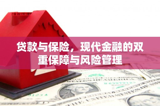 克孜勒苏柯尔克孜贷款与保险，现代金融的双重保障与风险管理