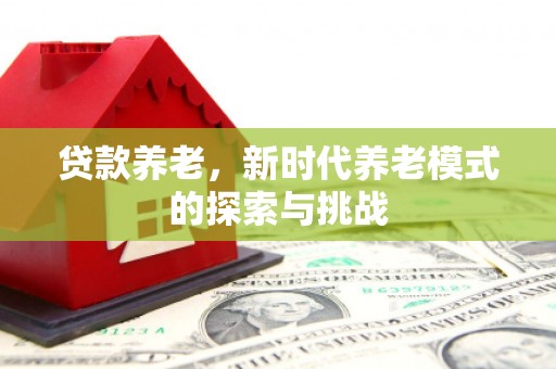克孜勒苏柯尔克孜贷款养老，新时代养老模式的探索与挑战