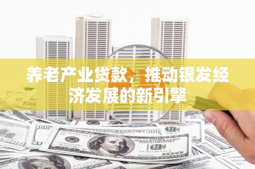 克孜勒苏柯尔克孜养老产业贷款，推动银发经济发展的新引擎
