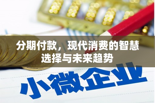 克孜勒苏柯尔克孜分期付款，现代消费的智慧选择与未来趋势