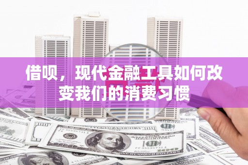 克孜勒苏柯尔克孜借呗，现代金融工具如何改变我们的消费习惯