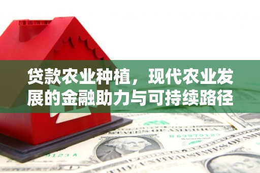 克孜勒苏柯尔克孜贷款农业种植，现代农业发展的金融助力与可持续路径