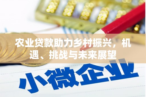 克孜勒苏柯尔克孜农业贷款助力乡村振兴，机遇、挑战与未来展望
