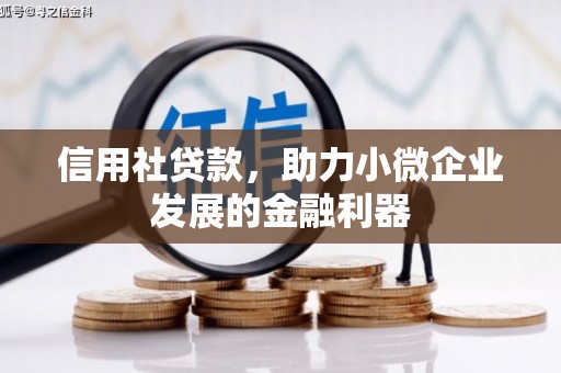 克孜勒苏柯尔克孜信用社贷款，助力小微企业发展的金融利器