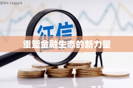 克孜勒苏柯尔克孜重塑金融生态的新力量