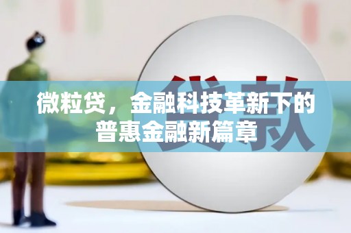 克孜勒苏柯尔克孜微粒贷，金融科技革新下的普惠金融新篇章