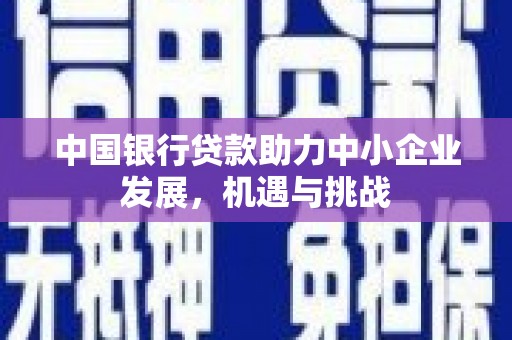 克孜勒苏柯尔克孜中国银行贷款助力中小企业发展，机遇与挑战