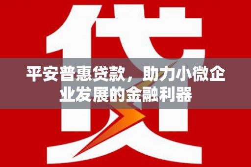 克孜勒苏柯尔克孜平安普惠贷款，助力小微企业发展的金融利器