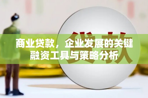 克孜勒苏柯尔克孜商业贷款，企业发展的关键融资工具与策略分析