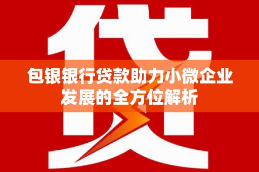 克孜勒苏柯尔克孜包银银行贷款助力小微企业发展的全方位解析