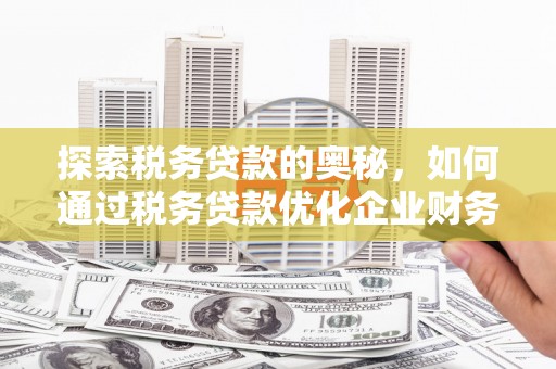 克孜勒苏柯尔克孜探索税务贷款的奥秘，如何通过税务贷款优化企业财务