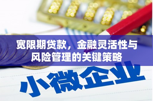 克孜勒苏柯尔克孜宽限期贷款，金融灵活性与风险管理的关键策略