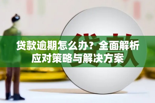 克孜勒苏柯尔克孜贷款逾期怎么办？全面解析应对策略与解决方案