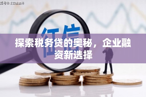 克孜勒苏柯尔克孜探索税务贷的奥秘，企业融资新选择