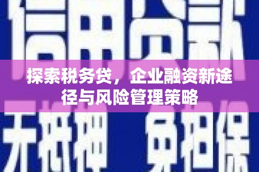 克孜勒苏柯尔克孜探索税务贷，企业融资新途径与风险管理策略
