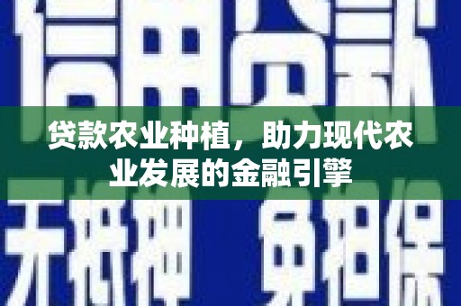 克孜勒苏柯尔克孜贷款农业种植，助力现代农业发展的金融引擎