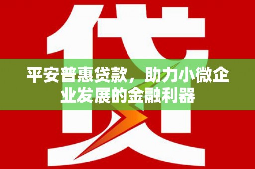 克孜勒苏柯尔克孜平安普惠贷款，助力小微企业发展的金融利器