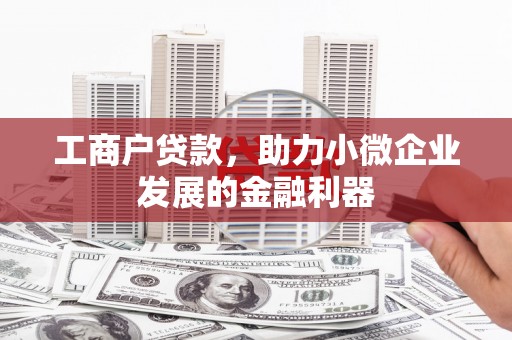 克孜勒苏柯尔克孜工商户贷款，助力小微企业发展的金融利器