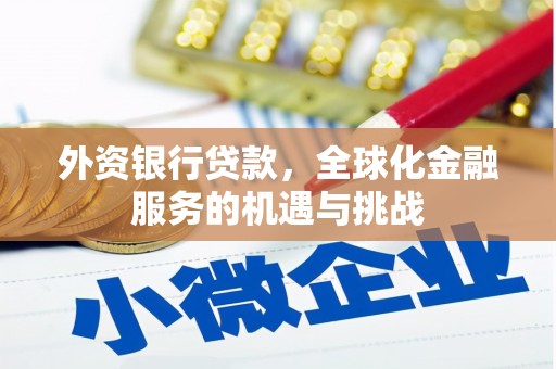 克孜勒苏柯尔克孜外资银行贷款，全球化金融服务的机遇与挑战