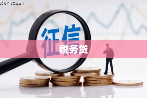 克孜勒苏柯尔克孜税务贷