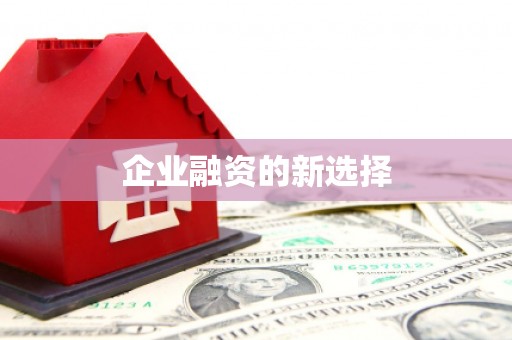 克孜勒苏柯尔克孜企业融资的新选择