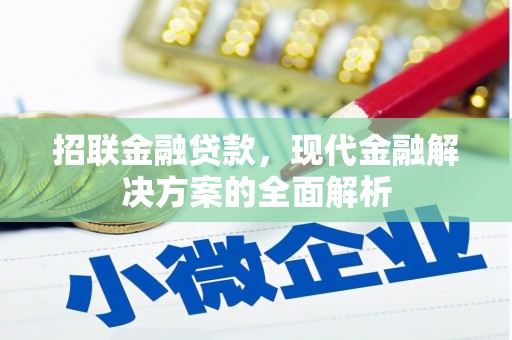 克孜勒苏柯尔克孜招联金融贷款，现代金融解决方案的全面解析