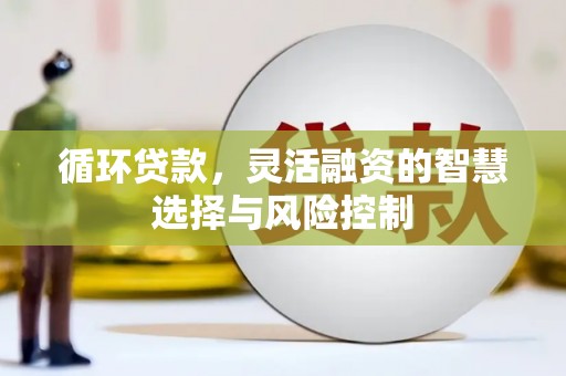 克孜勒苏柯尔克孜循环贷款，灵活融资的智慧选择与风险控制
