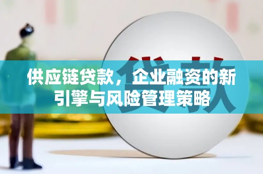 克孜勒苏柯尔克孜供应链贷款，企业融资的新引擎与风险管理策略