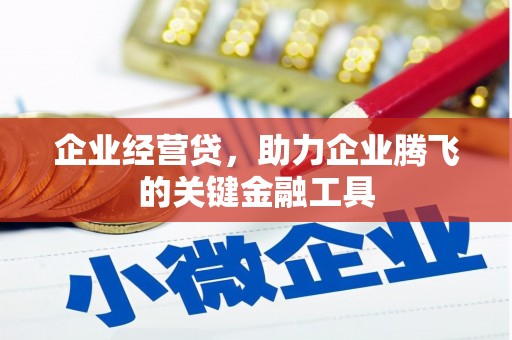 克孜勒苏柯尔克孜企业经营贷，助力企业腾飞的关键金融工具