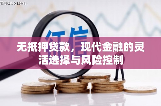 克孜勒苏柯尔克孜无抵押贷款，现代金融的灵活选择与风险控制