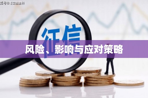 克孜勒苏柯尔克孜风险、影响与应对策略