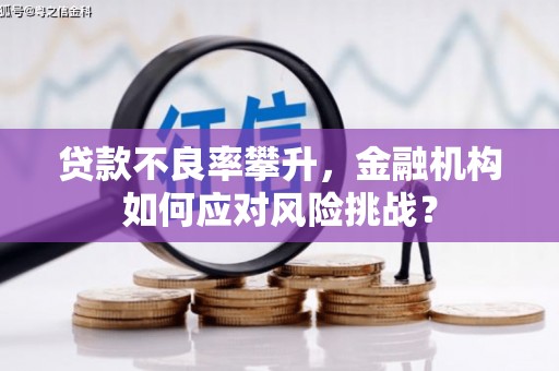 克孜勒苏柯尔克孜贷款不良率攀升，金融机构如何应对风险挑战？