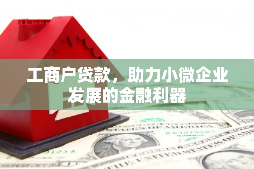 克孜勒苏柯尔克孜工商户贷款，助力小微企业发展的金融利器