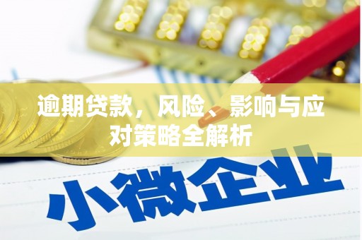 克孜勒苏柯尔克孜逾期贷款，风险、影响与应对策略全解析
