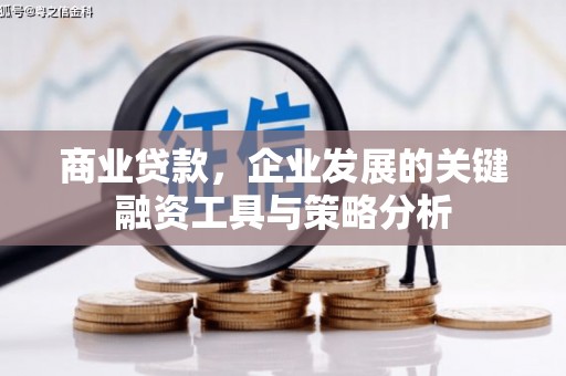克孜勒苏柯尔克孜商业贷款，企业发展的关键融资工具与策略分析
