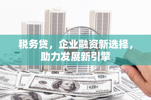 克孜勒苏柯尔克孜税务贷，企业融资新选择，助力发展新引擎