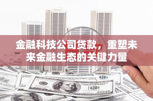 克孜勒苏柯尔克孜金融科技公司贷款，重塑未来金融生态的关键力量