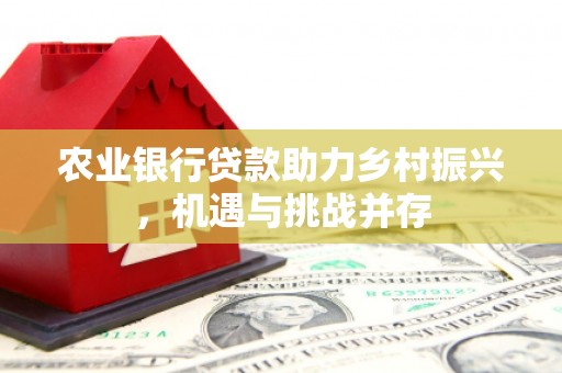 克孜勒苏柯尔克孜农业银行贷款助力乡村振兴，机遇与挑战并存