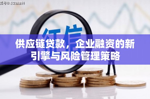 克孜勒苏柯尔克孜供应链贷款，企业融资的新引擎与风险管理策略
