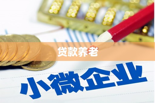 克孜勒苏柯尔克孜贷款养老