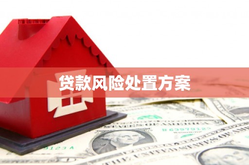 克孜勒苏柯尔克孜贷款风险处置方案
