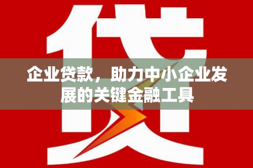 克孜勒苏柯尔克孜企业贷款，助力中小企业发展的关键金融工具
