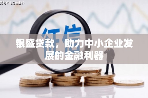 克孜勒苏柯尔克孜银盛贷款，助力中小企业发展的金融利器