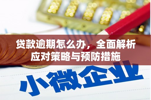 克孜勒苏柯尔克孜贷款逾期怎么办，全面解析应对策略与预防措施