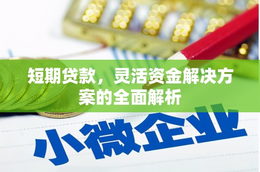 克孜勒苏柯尔克孜短期贷款，灵活资金解决方案的全面解析